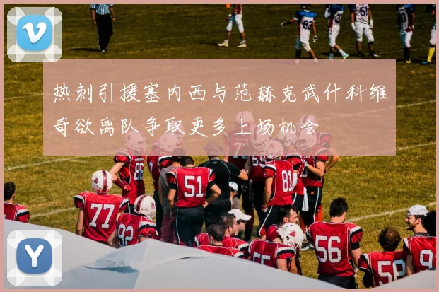 热刺引援塞内西与范赫克武什科维奇欲离队争取更多上场机会