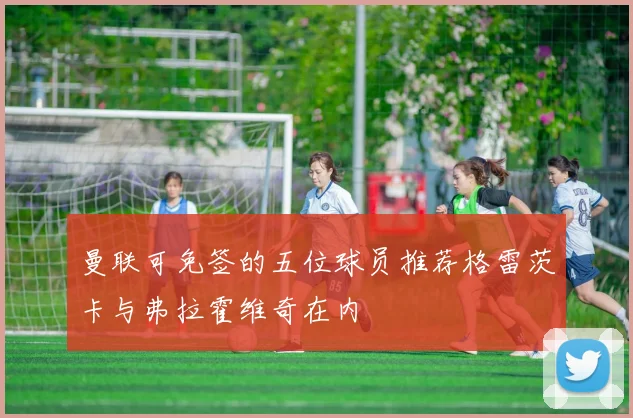 曼联可免签的五位球员推荐格雷茨卡与弗拉霍维奇在内